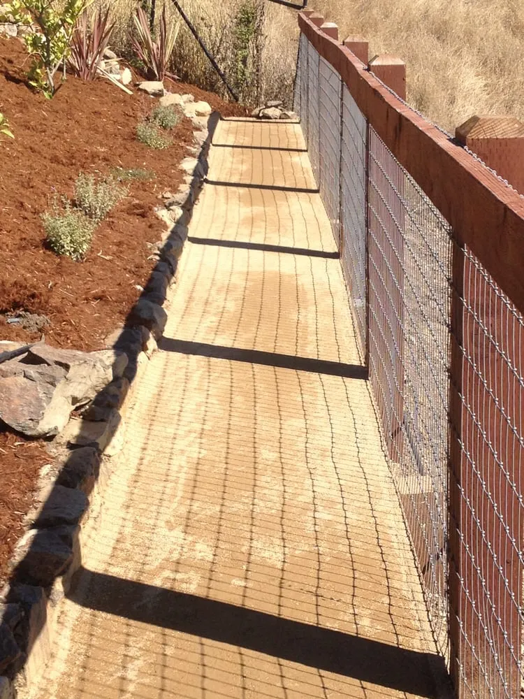 Custom lawn care service for homes across Petaluma, CA - Green Oak Landscape