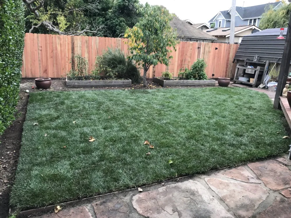 Affordable landscape design experts serving Petaluma, CA - Green Oak Landscape