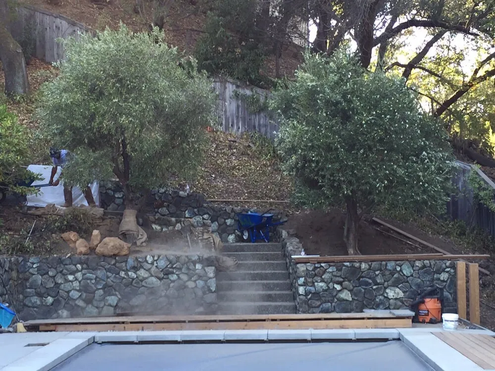 Affordable yard cleanup service for residential properties in Petaluma, CA by Green Oak Landscape