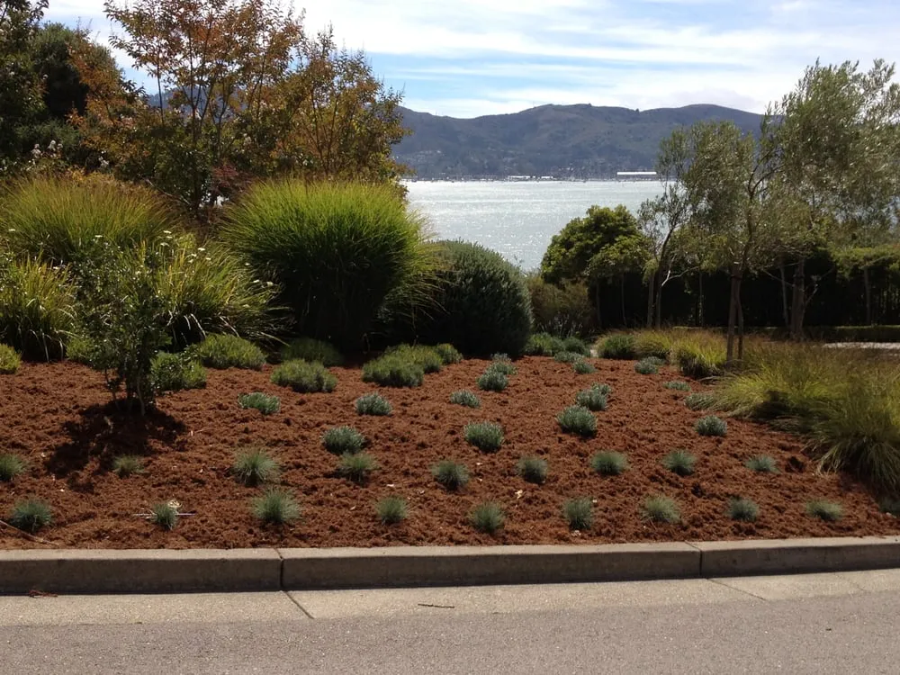 Affordable garden landscaping in Petaluma, CA by Green Oak Landscape