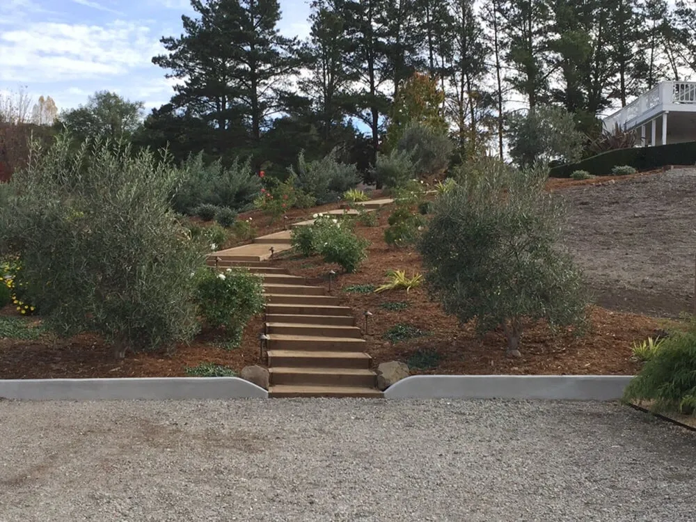 Local lawn mowing service experts serving Petaluma, CA - Green Oak Landscape