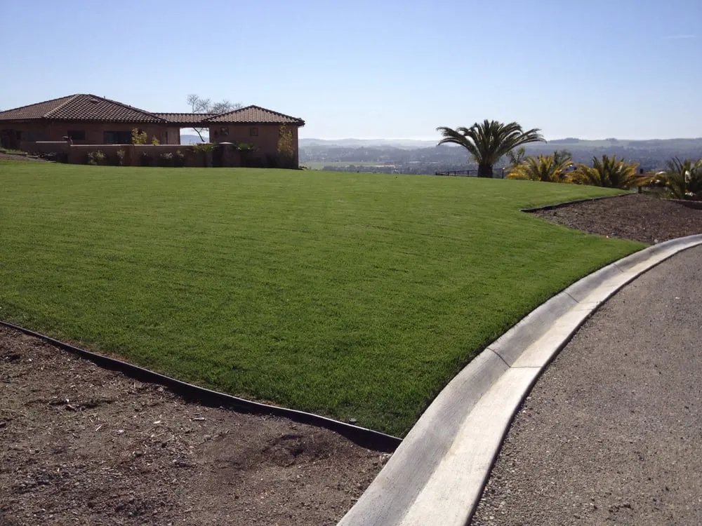 Local residential landscaping in Petaluma, CA - Green Oak Landscape