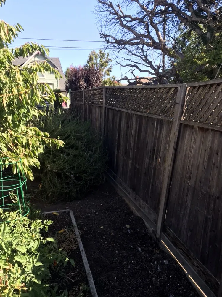 Top-rated residential landscaping in Petaluma, CA by Green Oak Landscape