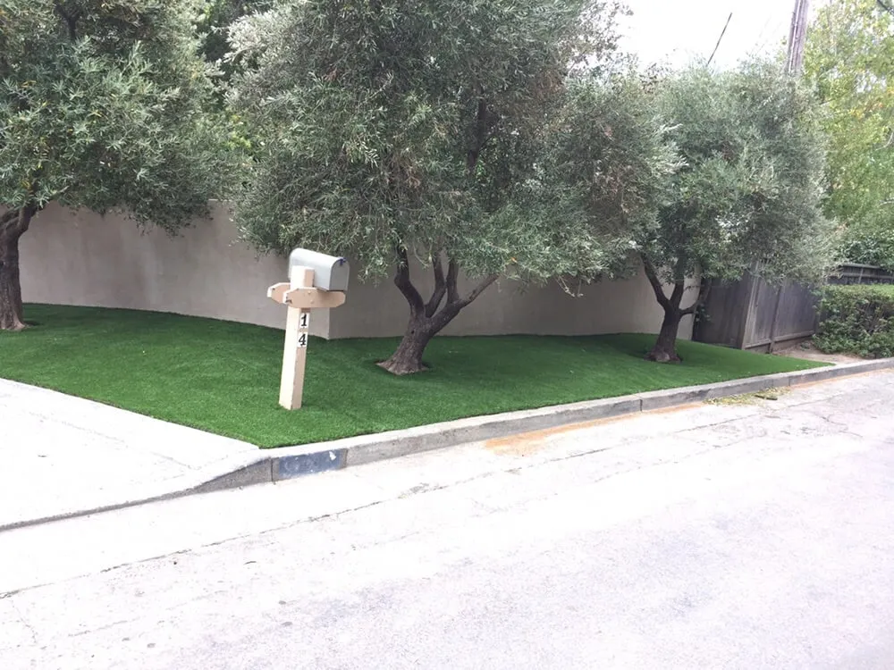 Professional landscape design for year-round maintenance across Petaluma, CA - Green Oak Landscape