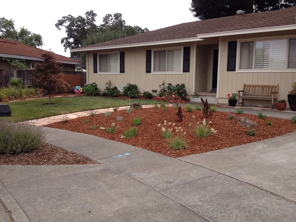 Top-rated outdoor landscaping experts serving Petaluma, CA - Green Oak Landscape