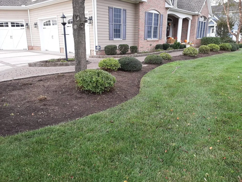 Reliable yard cleanup service experts serving Georgetown, DE - Green Oak Landscaping Service