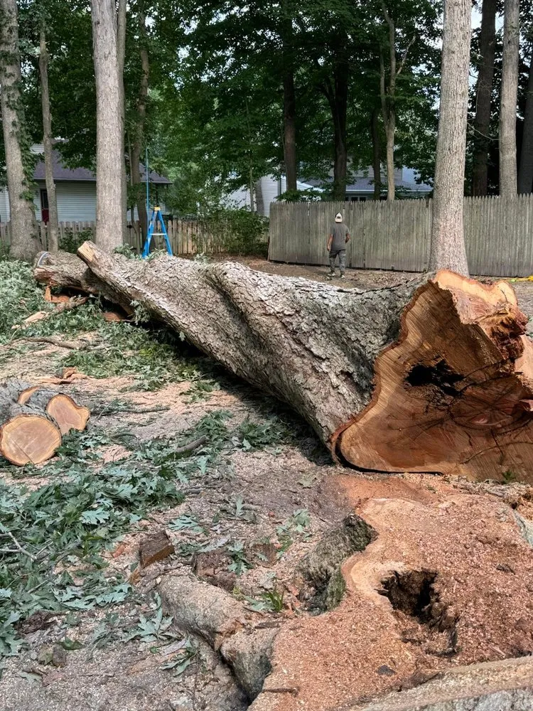 Custom yard cleanup service in Georgetown, DE by Green Oak Landscaping Service