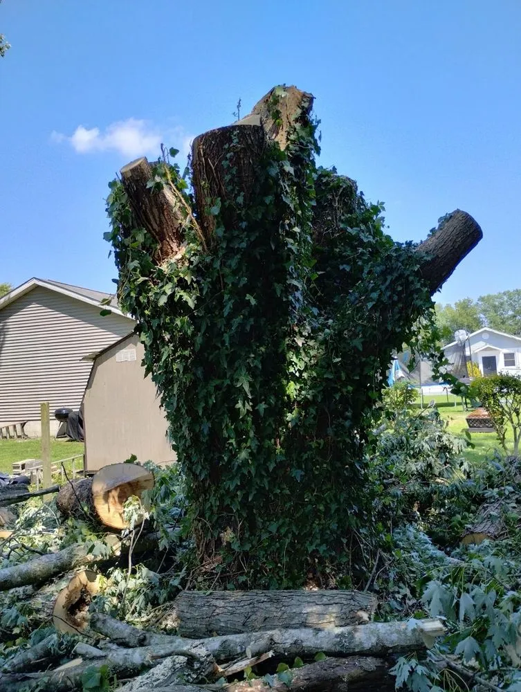 Top-rated landscaping services for residential properties across Georgetown, DE - Green Oak Landscaping Service