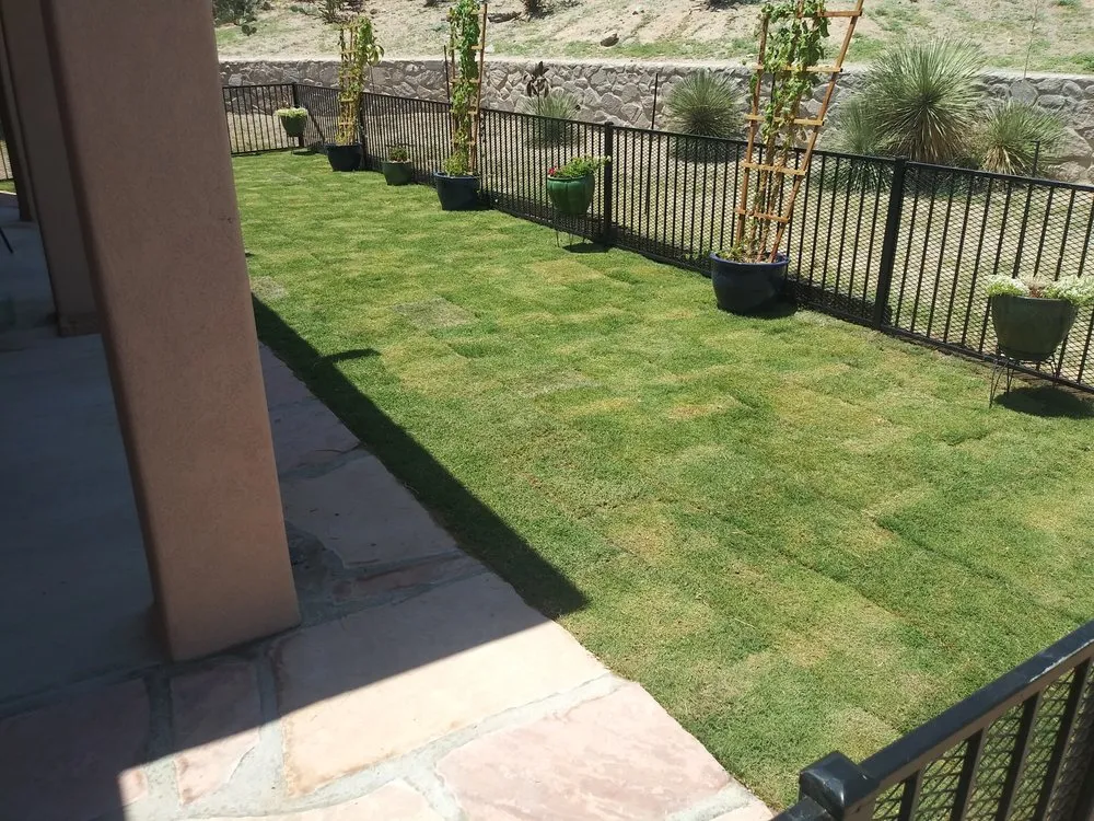 Custom yard cleanup service in Las Cruces, NM by Green Oak Landscaping Services