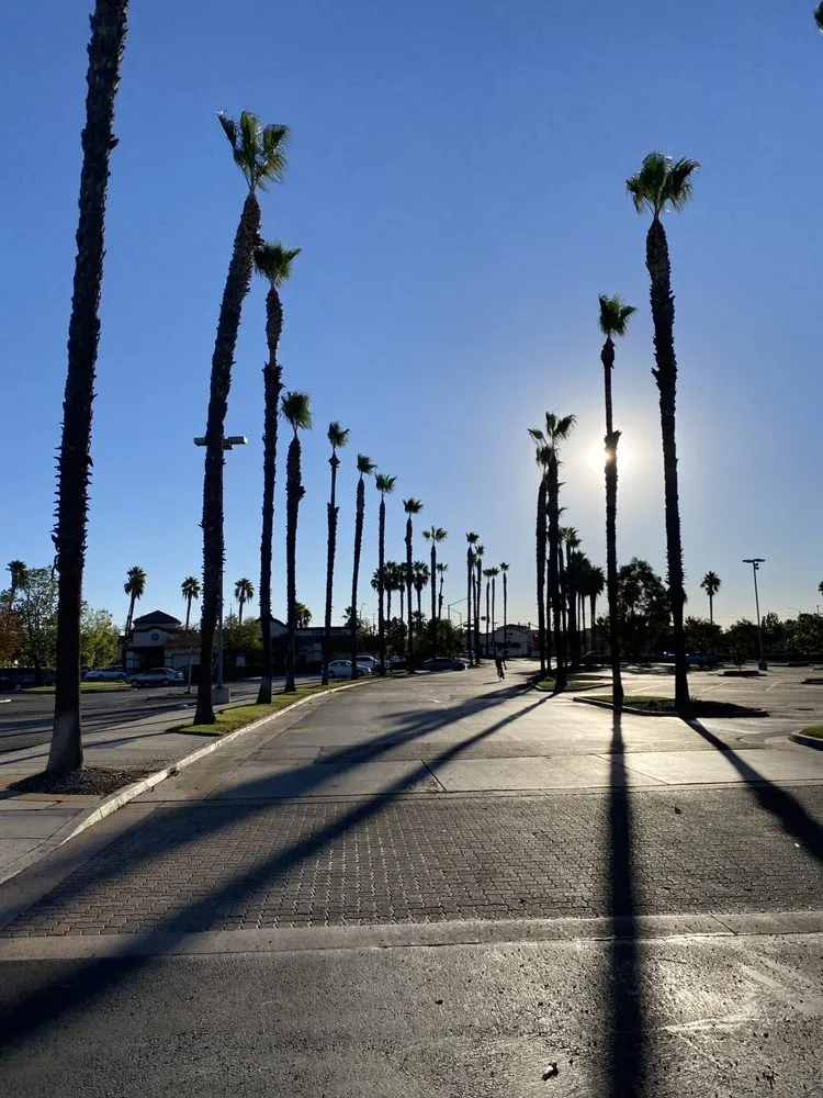 Reliable yard maintenance for year-round maintenance across Perris, CA - Green Oak Tree Care