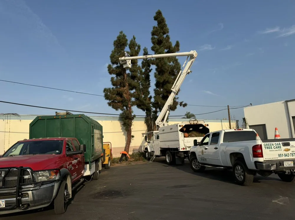 Top-rated landscaping services with custom design across Perris, CA - Green Oak Tree Care