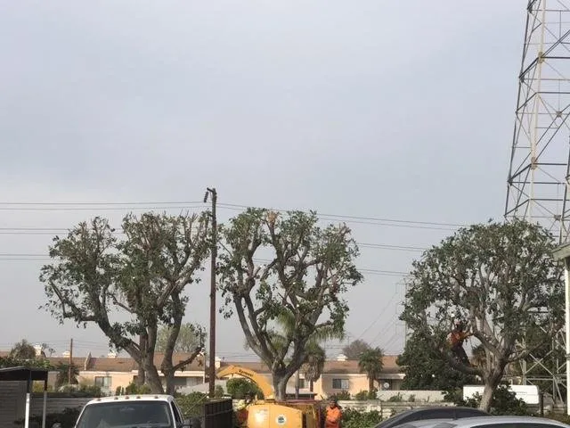 Affordable lawn mowing service experts serving Perris, CA - Green Oak Tree Care