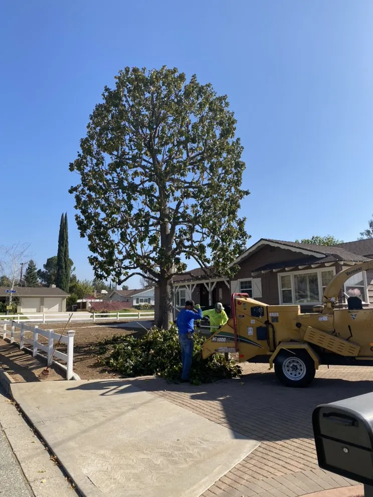 Expert garden landscaping experts serving Perris, CA - Green Oak Tree Care