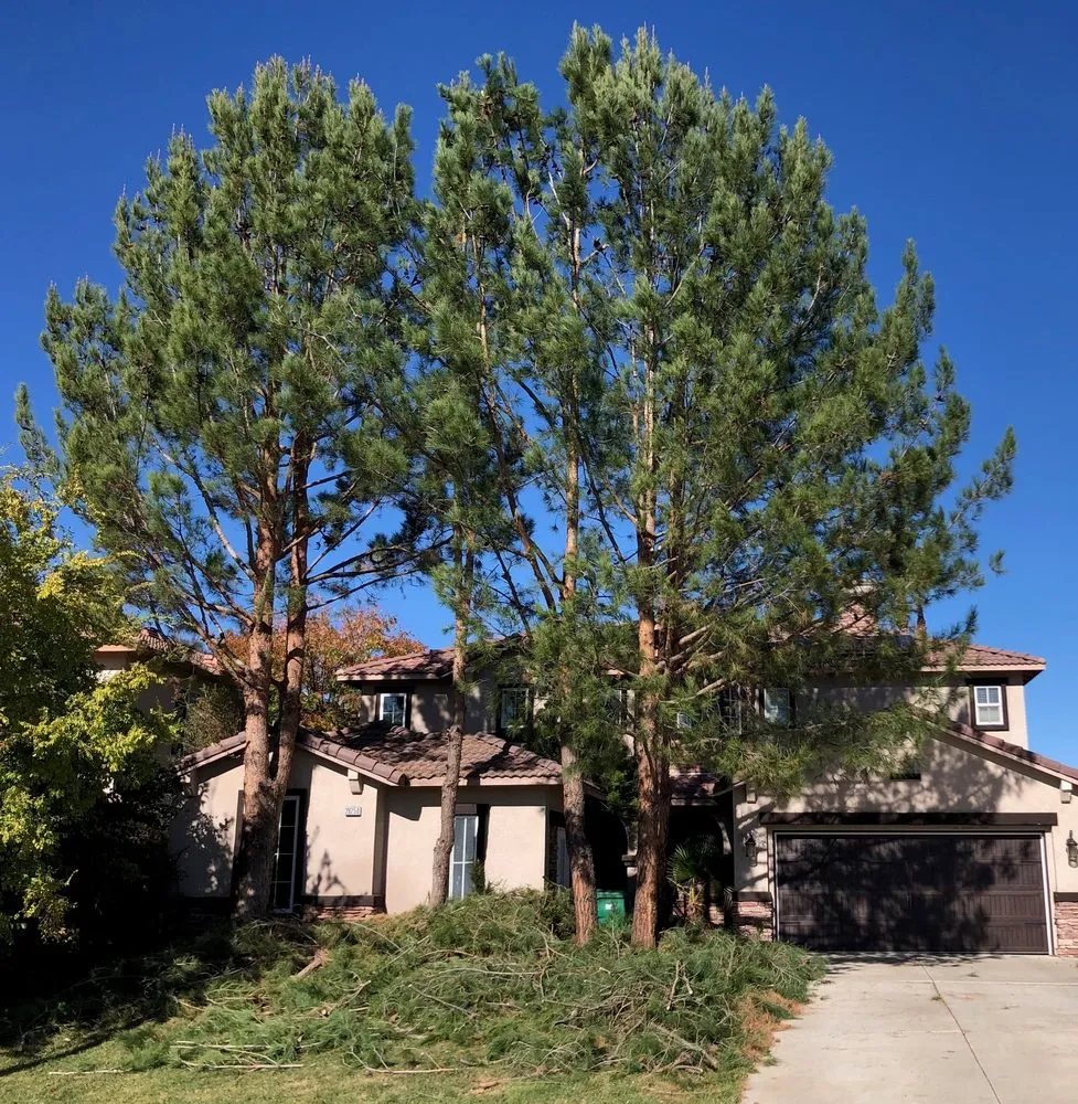 Local residential landscaping experts serving Perris, CA - Green Oak Tree Care