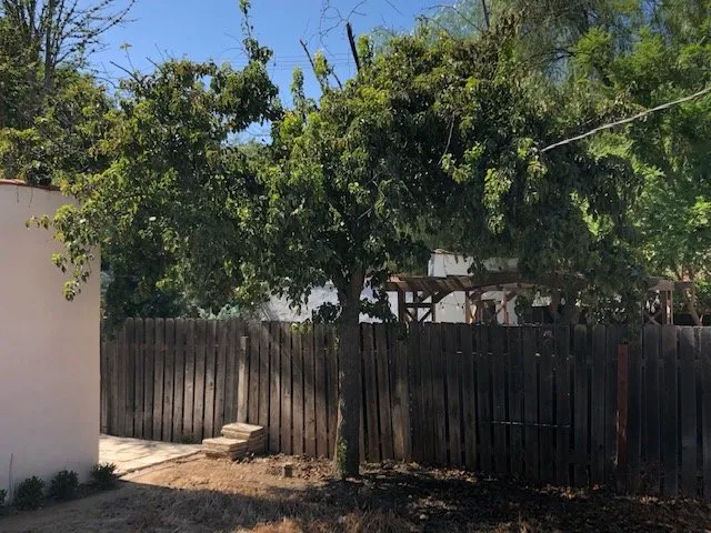 Reliable lawn mowing service in Perris, CA by Green Oak Tree Care