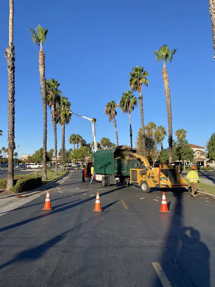 Professional landscape design in Perris, CA - Green Oak Tree Care