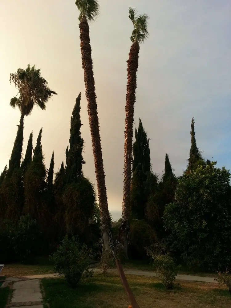 Local landscaping services near you in Perris, CA by Green Oak Tree Care