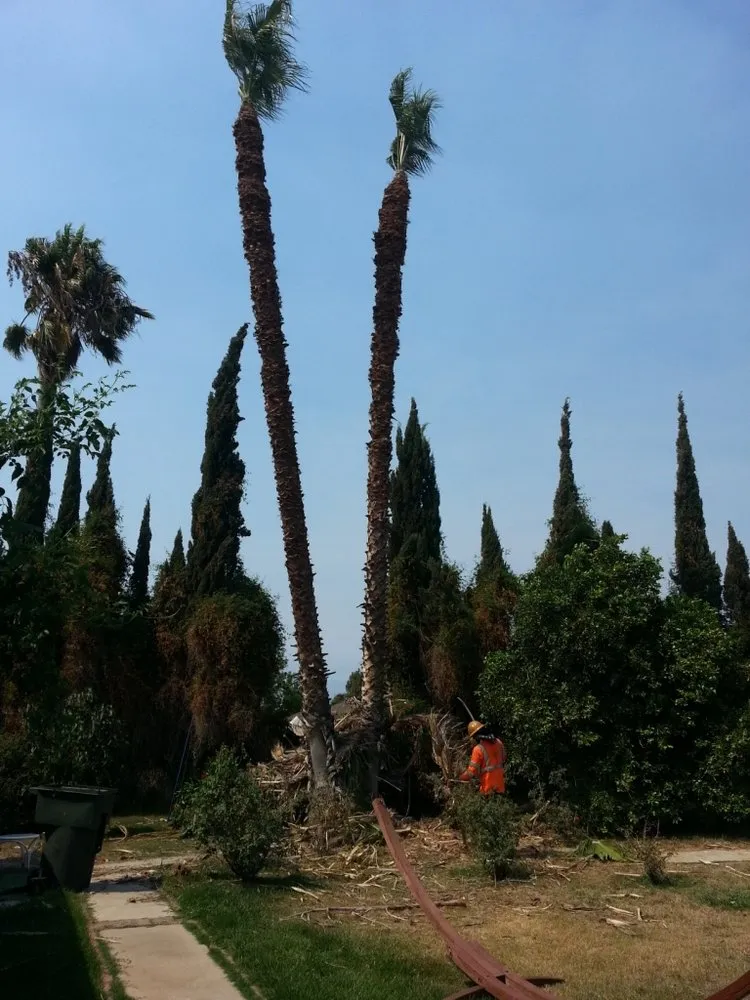 Affordable residential landscaping for homes in Perris, CA by Green Oak Tree Care