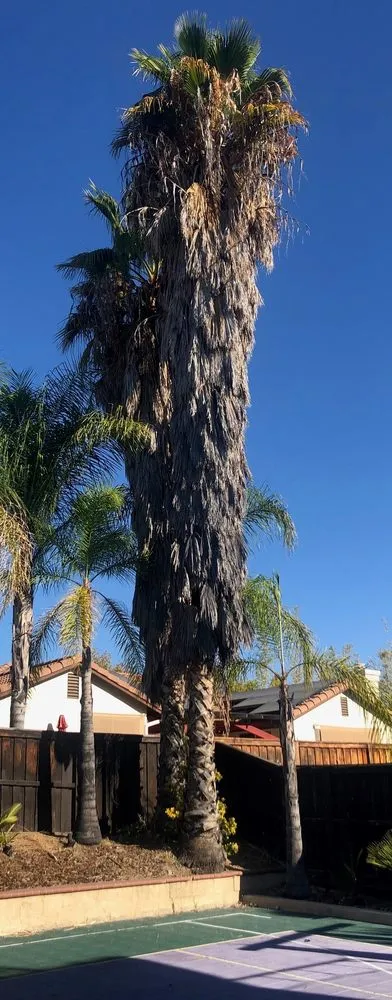 Trusted residential landscaping experts serving Perris, CA - Green Oak Tree Care