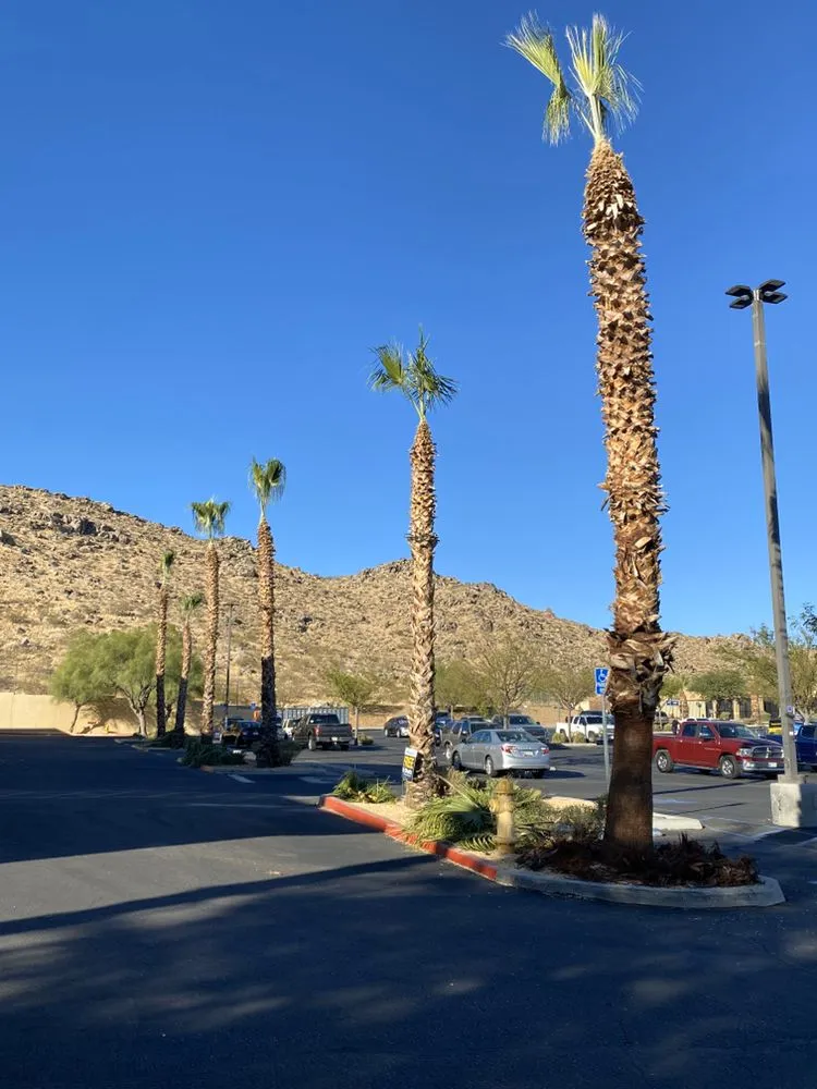 Local landscape design experts serving Perris, CA - Green Oak Tree Care