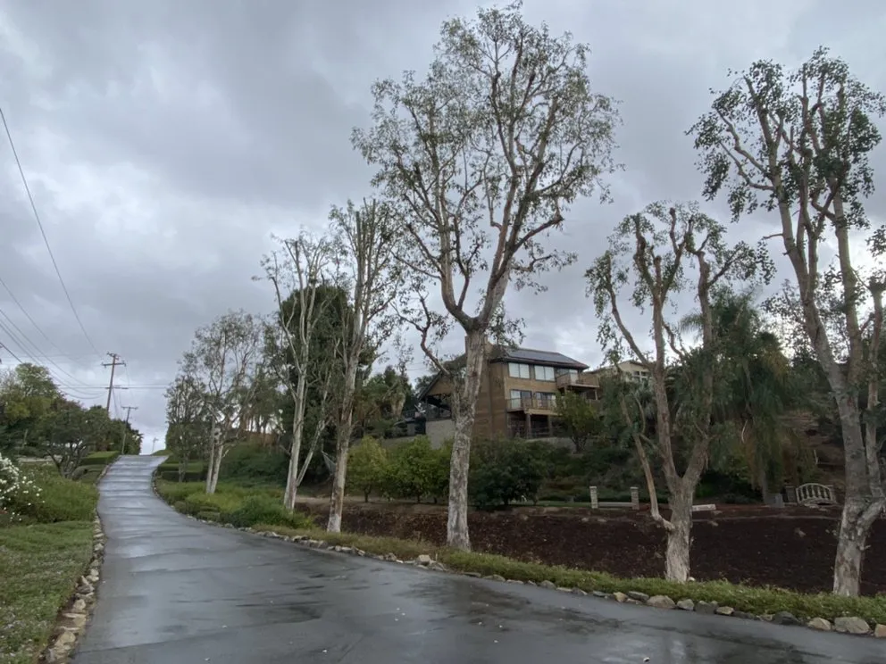 Affordable lawn care service near you across Perris, CA - Green Oak Tree Care