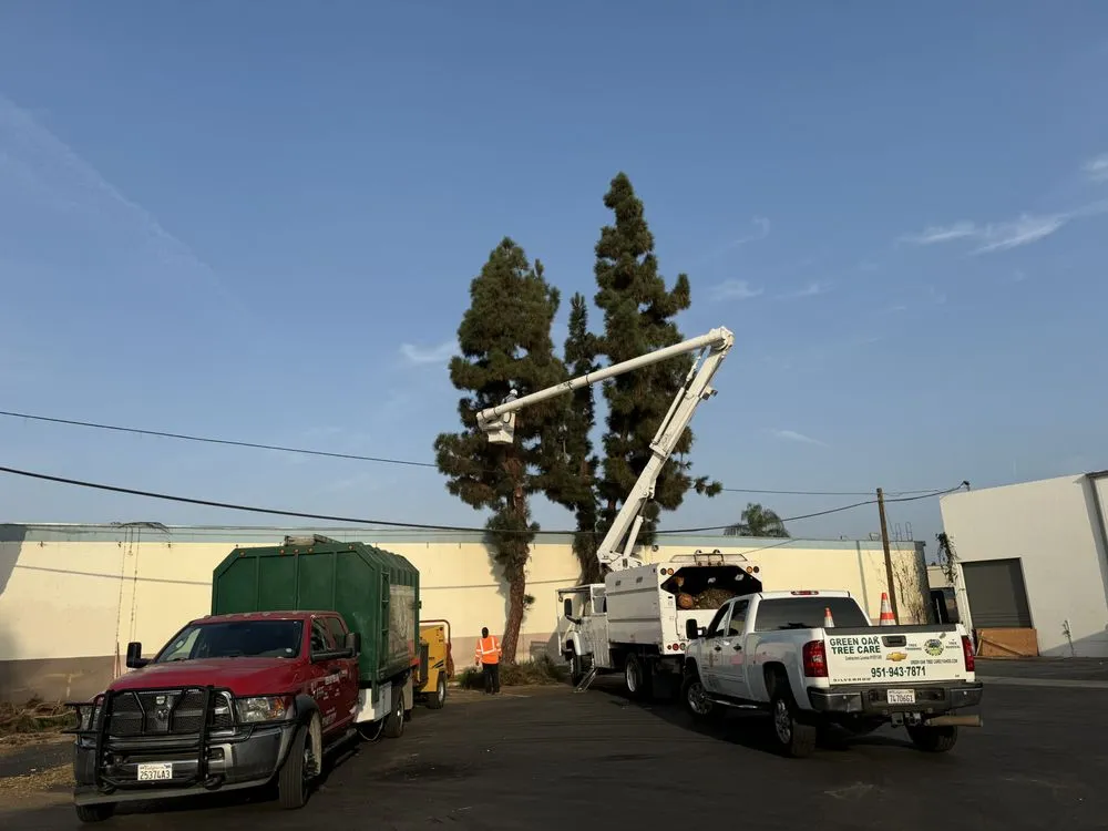 Expert yard maintenance in Perris, CA by Green Oak Tree Care