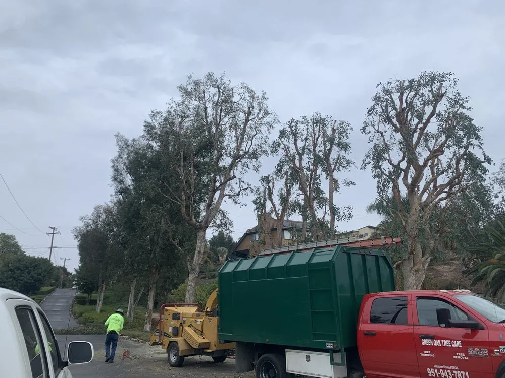 Trusted yard cleanup service in Perris, CA - Green Oak Tree Care