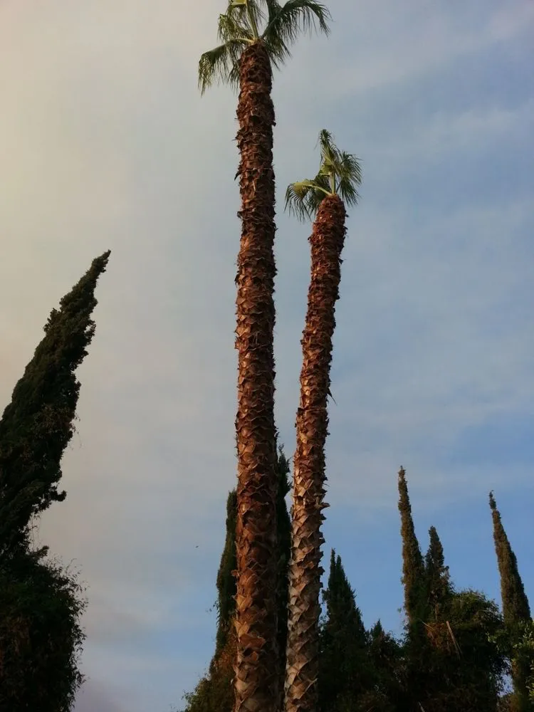 Professional landscape design for outdoor upgrades across Perris, CA - Green Oak Tree Care