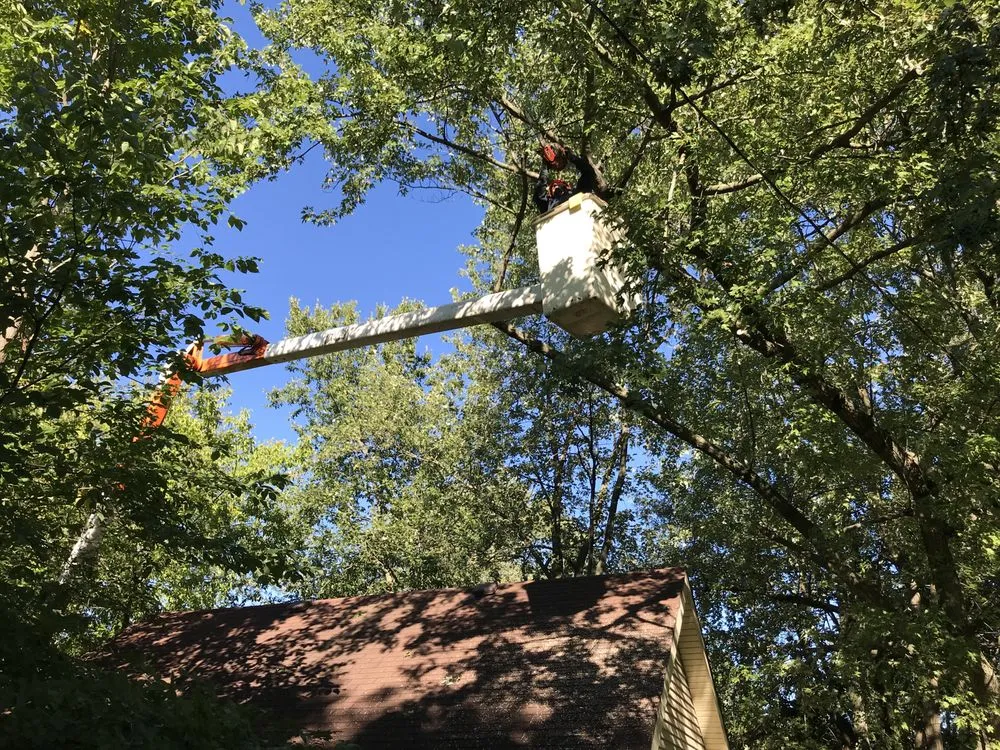 Trusted lawn care service experts serving Skokie, IL - Green Oak Tree Service