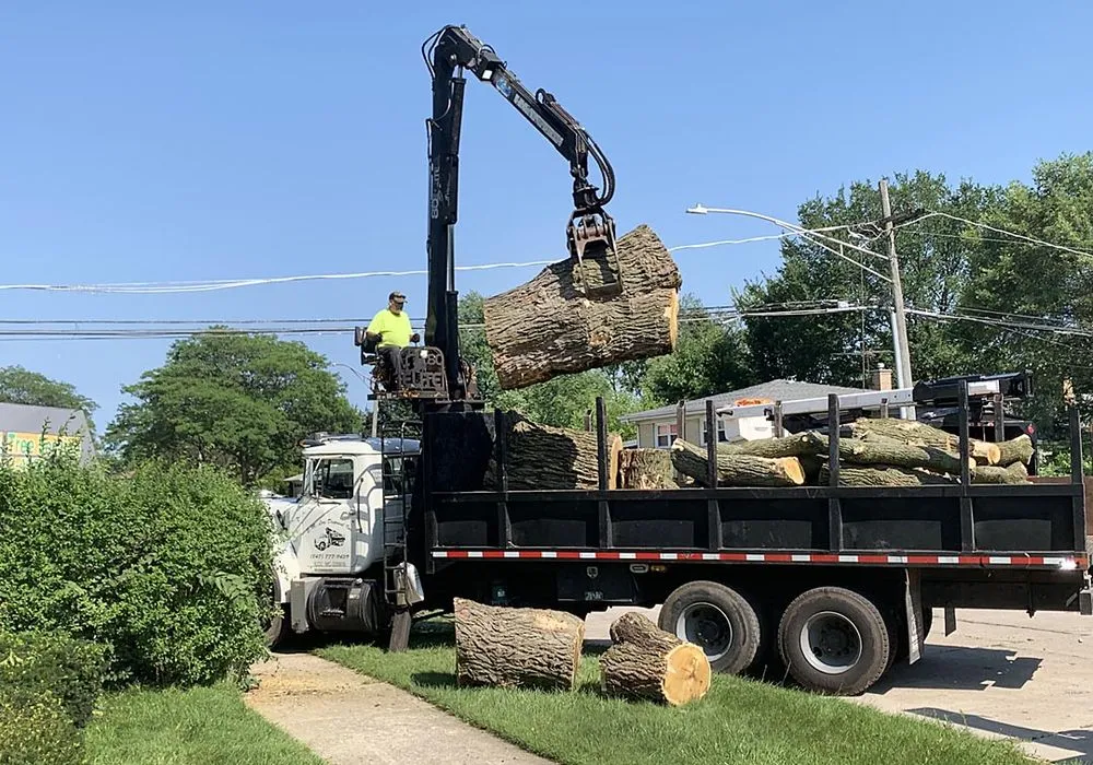 Affordable yard cleanup service experts serving Skokie, IL - Green Oak Tree Service