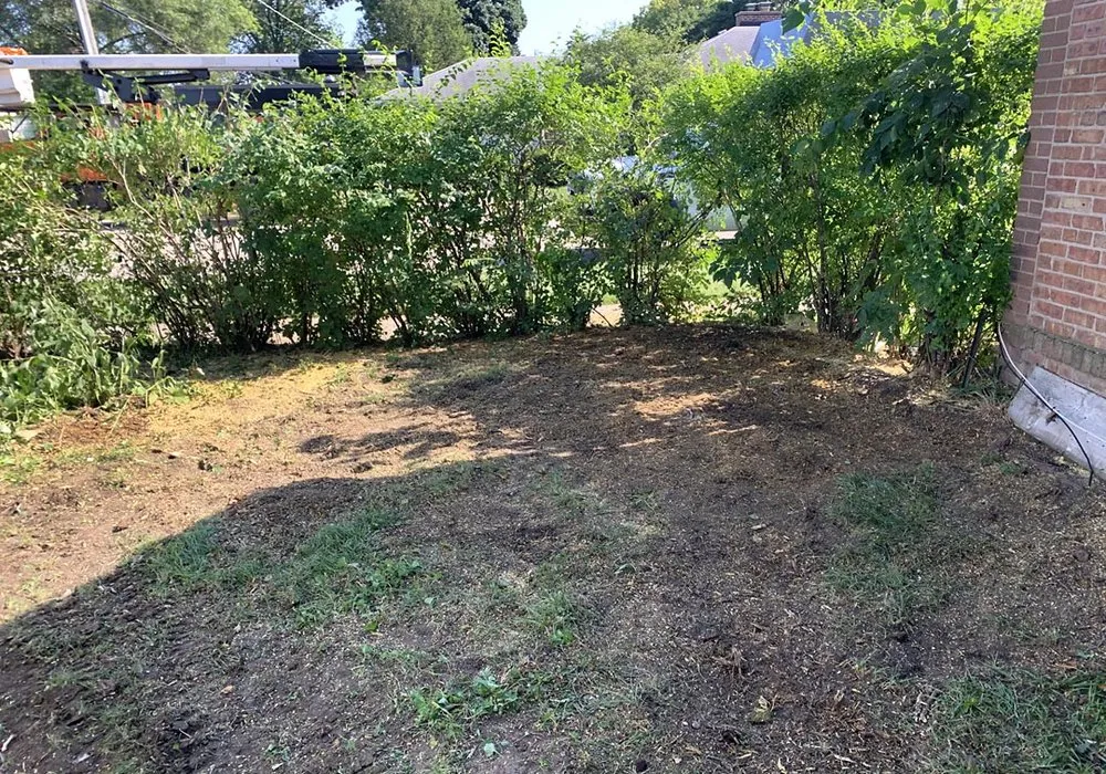 Top-rated residential landscaping for beautiful yards in Skokie, IL by Green Oak Tree Service