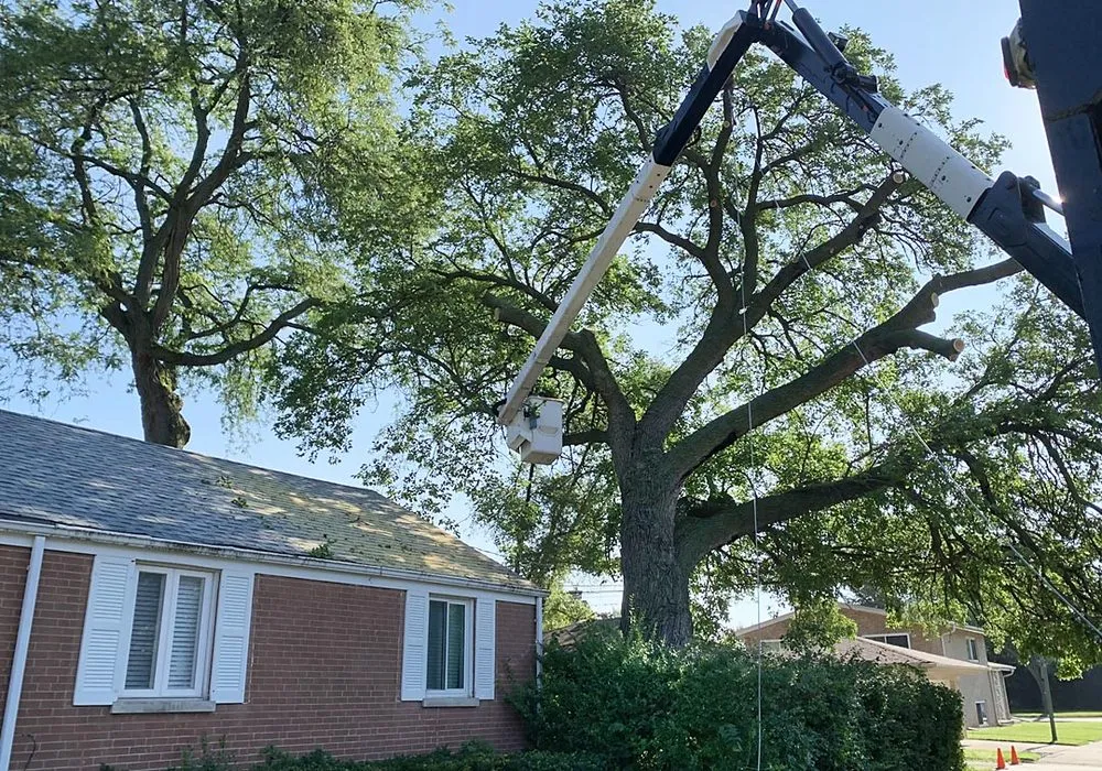 Affordable landscape design for homes across Skokie, IL - Green Oak Tree Service