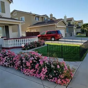 Professional lawn mowing service in Elk Grove, CA - Green Oaks Landscape