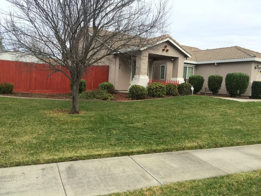 Top-rated landscape design experts serving Elk Grove, CA - Green Oaks Landscape