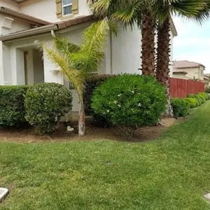 Top-rated landscape design experts serving Elk Grove, CA - Green Oaks Landscape