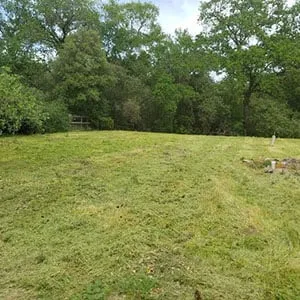 Affordable residential landscaping for year-round maintenance across Elk Grove, CA - Green Oaks Landscape