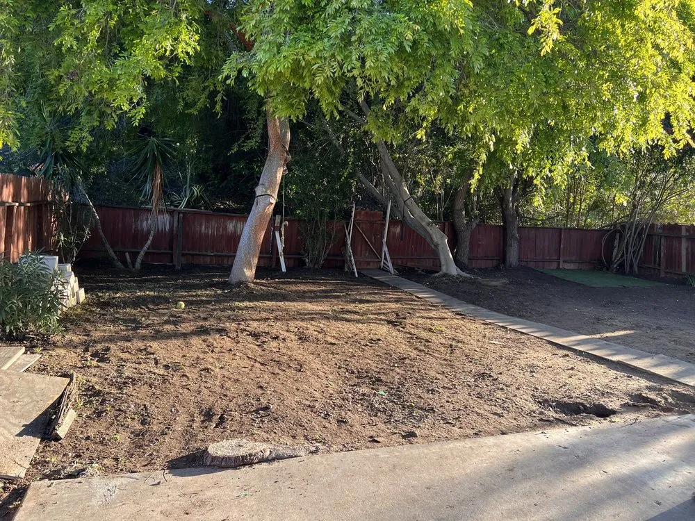 Trusted yard maintenance in San Diego, CA by Green Oaks Landscape Maintence