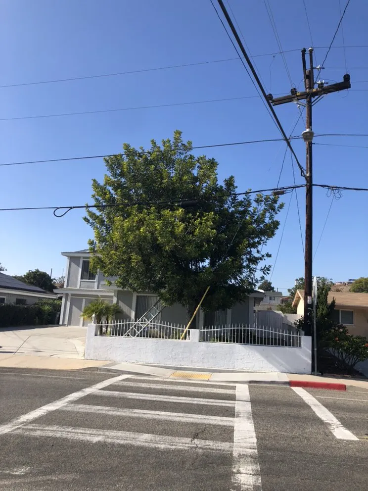 Reliable landscaping services experts serving San Diego, CA - Green Oaks Landscape Maintence