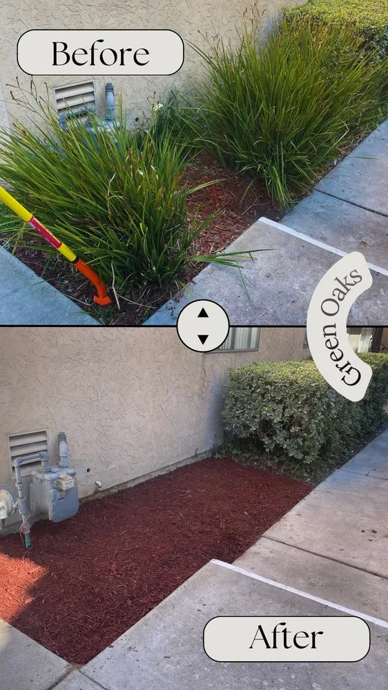 Expert yard maintenance experts serving San Diego, CA - Green Oaks Landscape Maintence