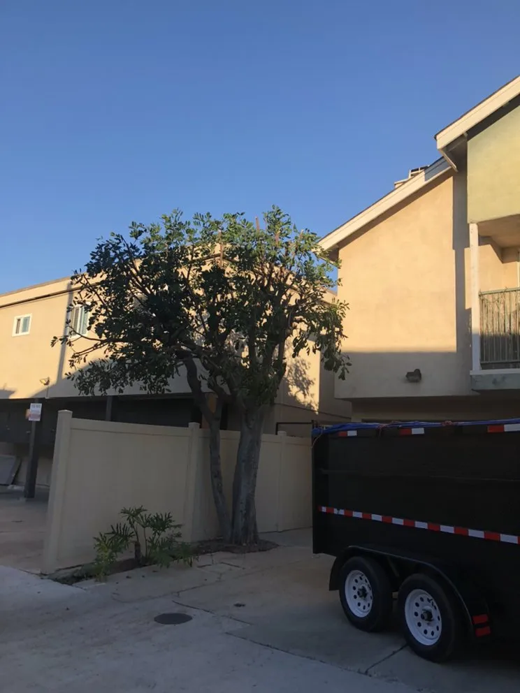 Affordable landscaping services in San Diego, CA - Green Oaks Landscape Maintence