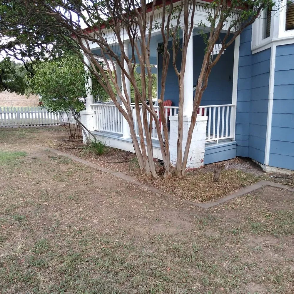 Top-rated yard cleanup service for year-round maintenance in Arlington, TX by Green oaks landscaping and construction