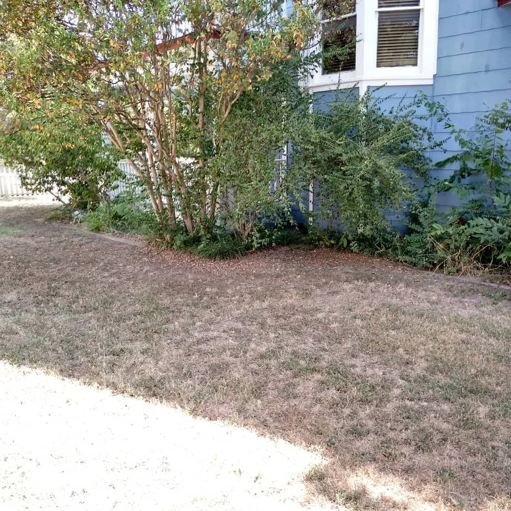 Reliable garden landscaping experts serving Arlington, TX - Green oaks landscaping and construction