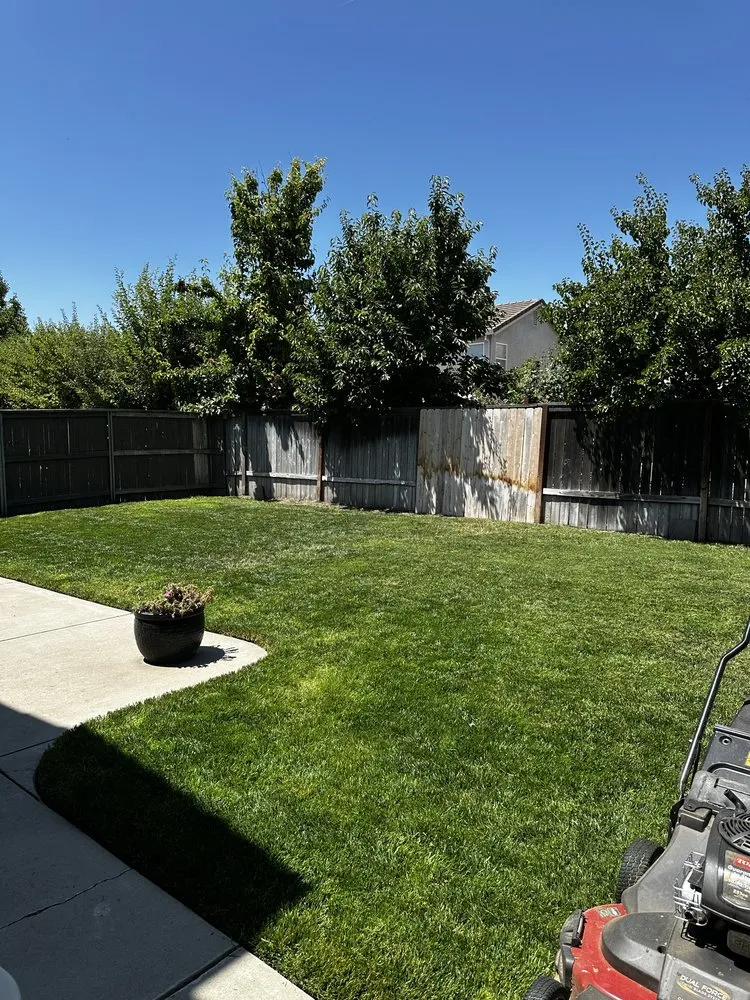 Affordable yard cleanup service in Sacramento, CA - Green Oaks Landscaping
