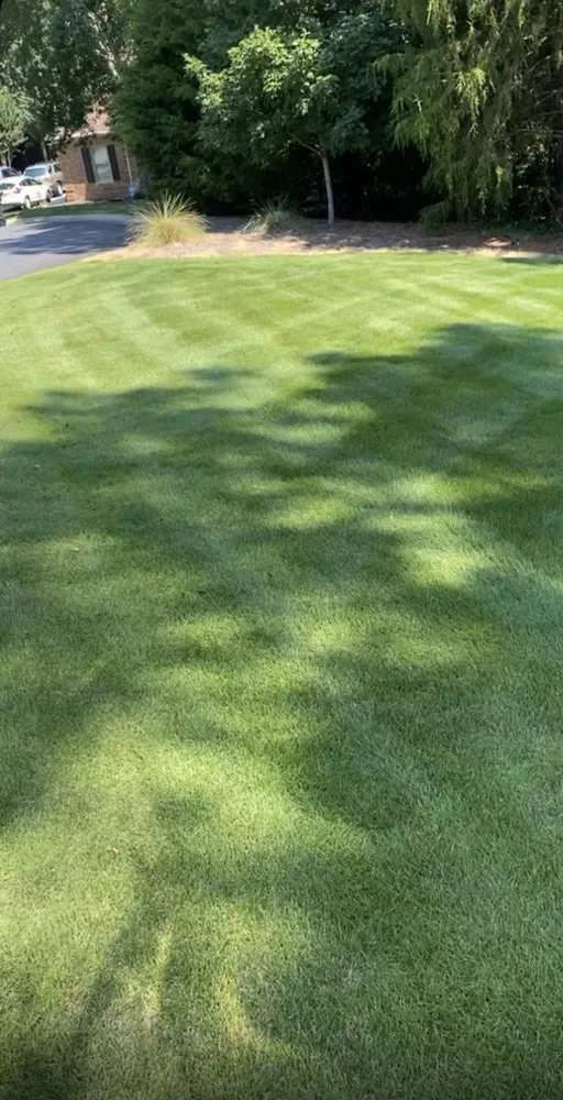 Local yard maintenance for year-round maintenance across Monroe, NC - Green Oasis Environmental