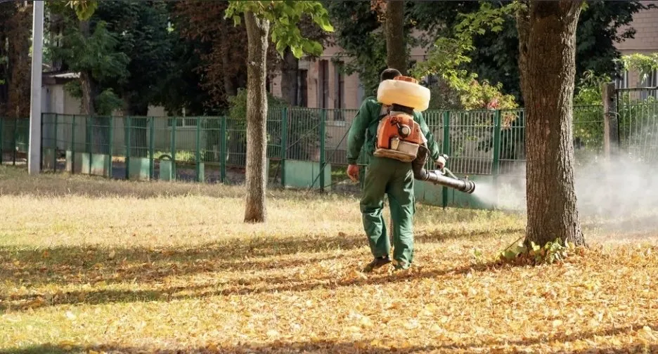 Trusted yard cleanup service experts serving Monroe, NC - Green Oasis Environmental