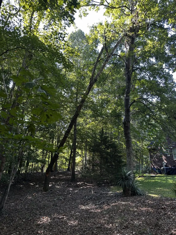 Local garden landscaping in Monroe, NC - Green Oasis Environmental