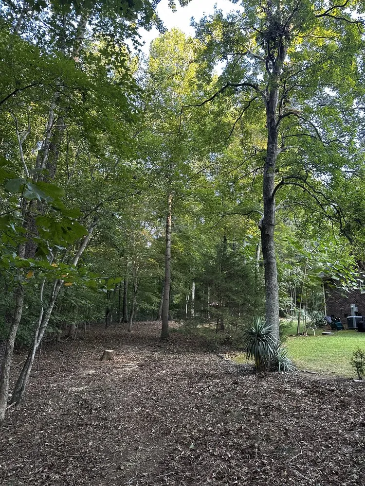 Local lawn mowing service for residential properties in Monroe, NC by Green Oasis Environmental