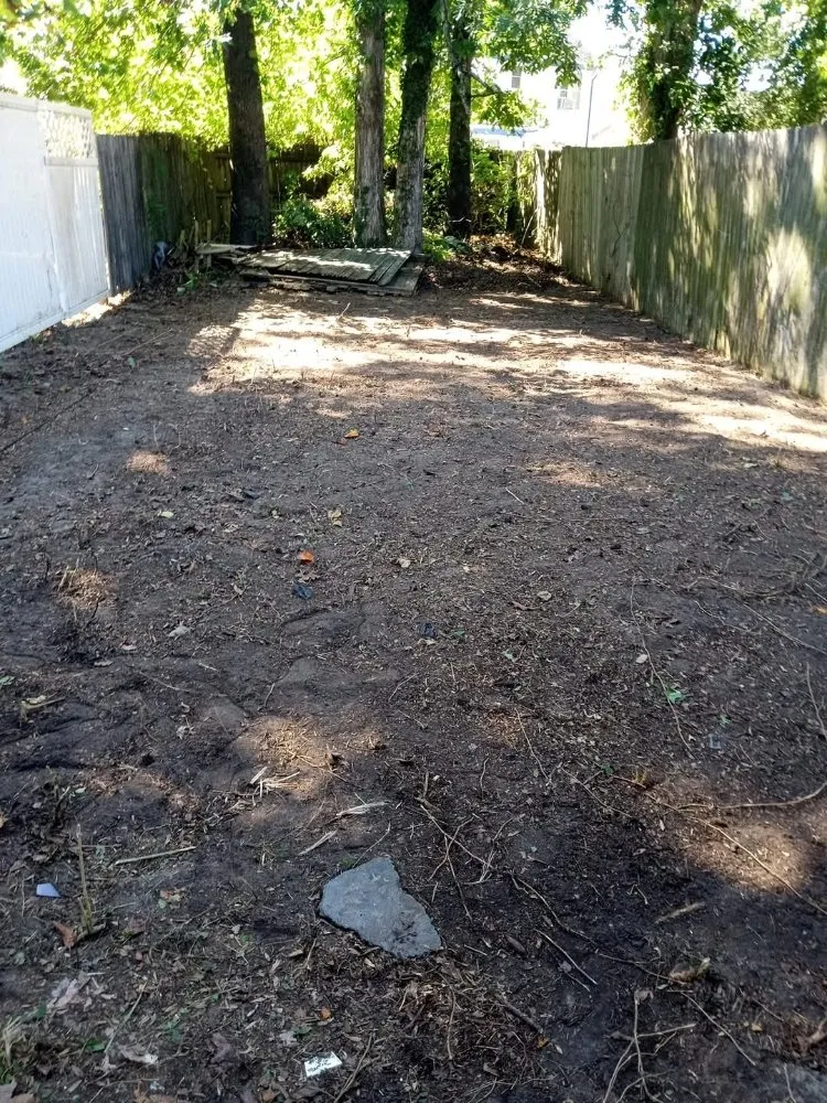 Custom yard cleanup service experts serving Norfolk, VA - Green Oasis Landscaping