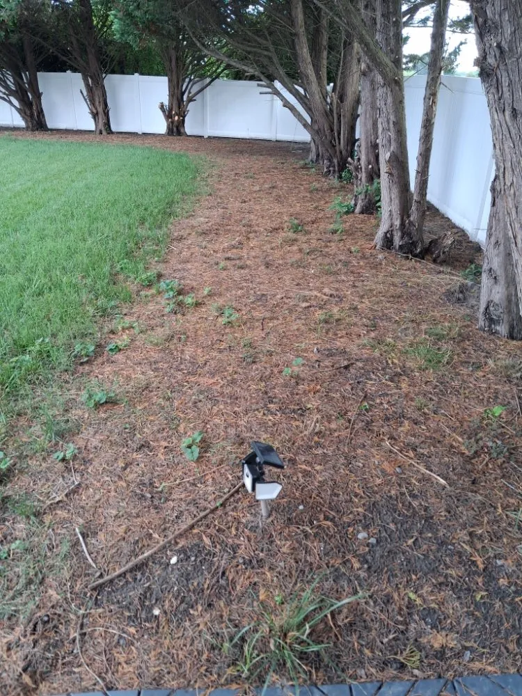 Trusted lawn care service in Norfolk, VA - Green Oasis Landscaping