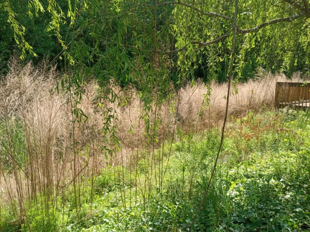 Local landscaping services in Norfolk, VA - Green Oasis Landscaping